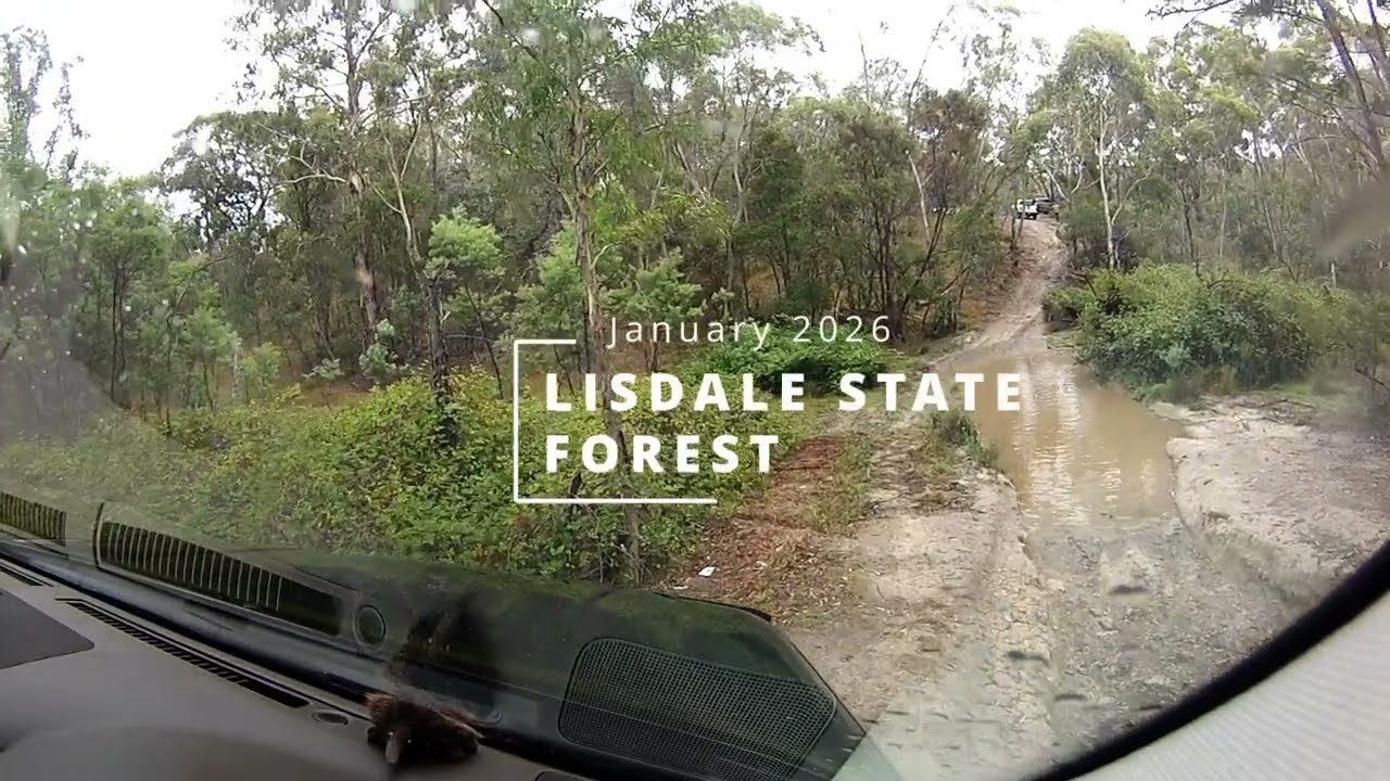 Lisdale State Forest  January 2026
