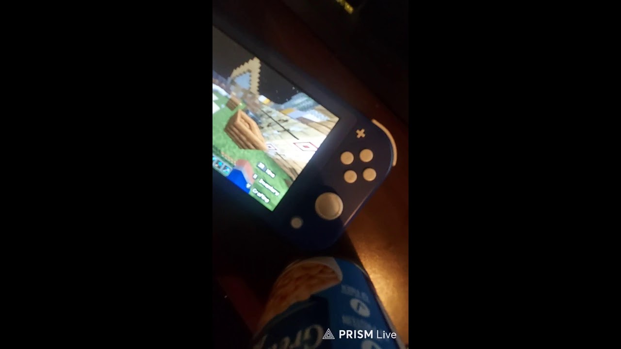 minecraft on Nintendo switch