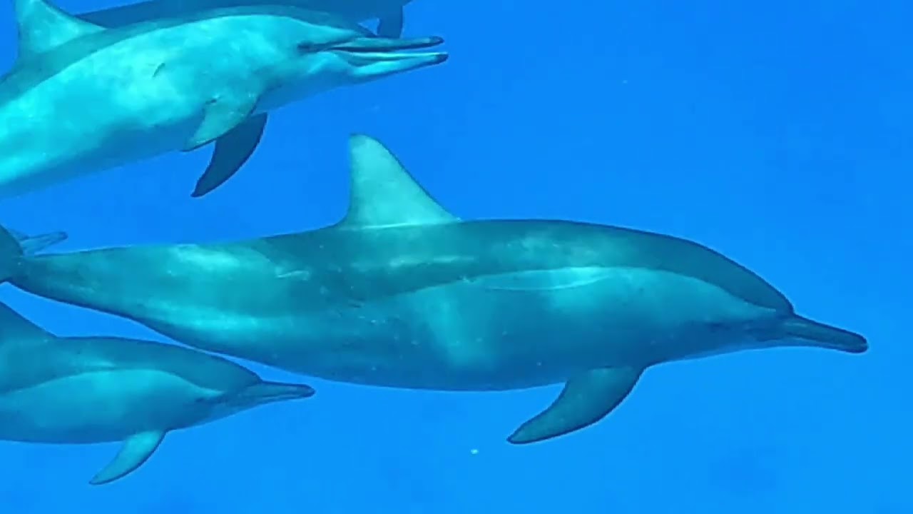 Marsa Alam 2024