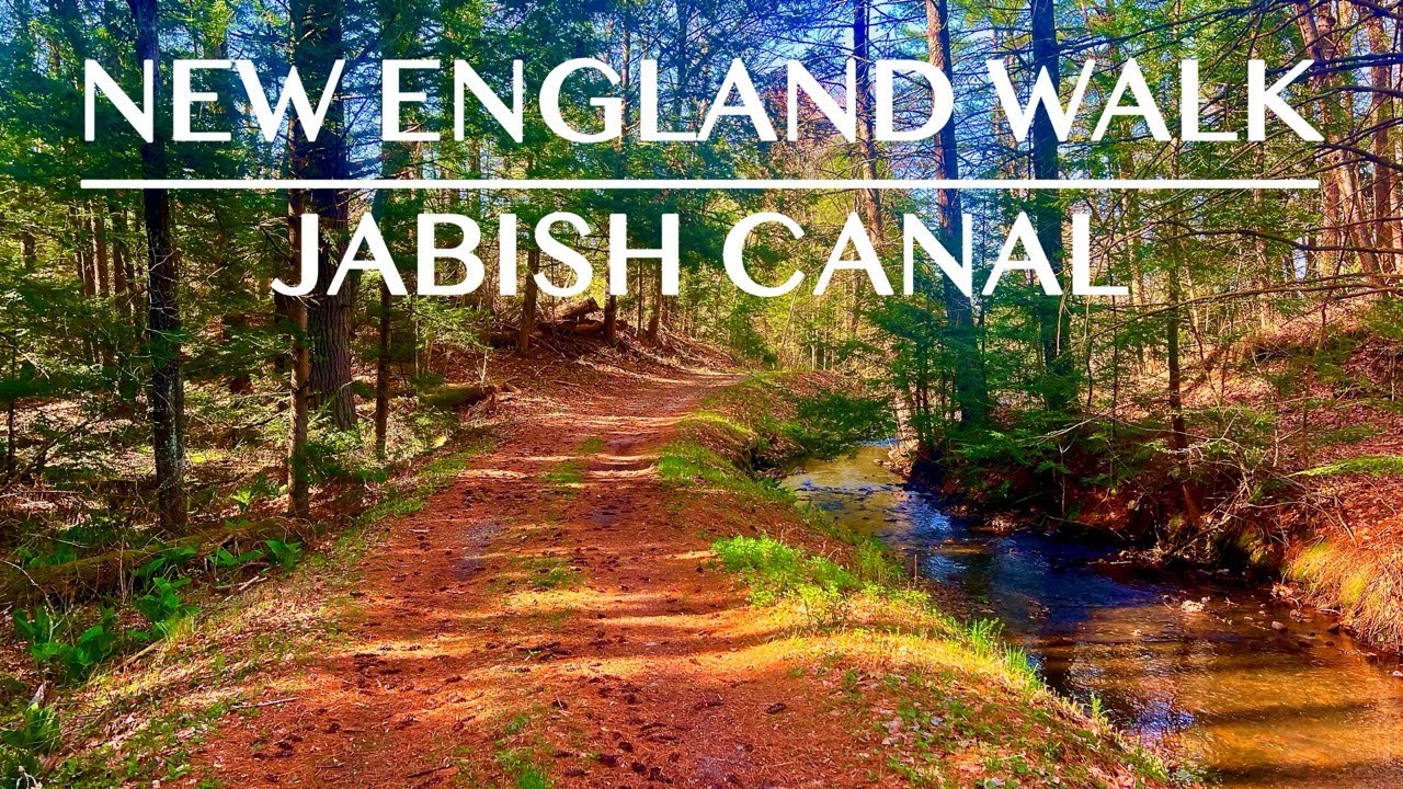 Walking Along a Hidden New England Brook | Relaxing Nature Sounds in 4K UHD