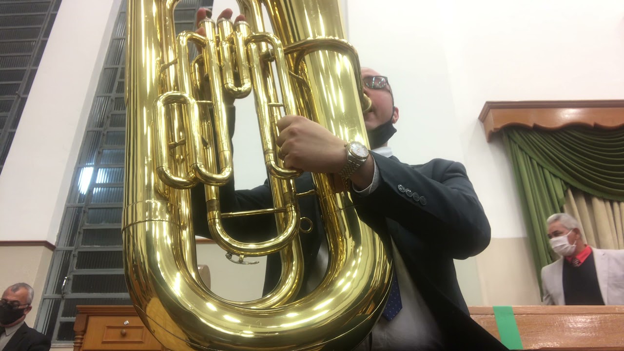 Tuba yamaha 201