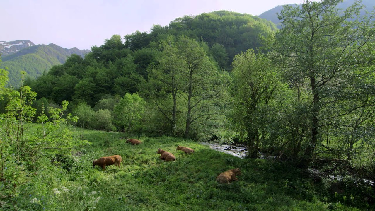 Reservas de la Biosfera. Somiedo