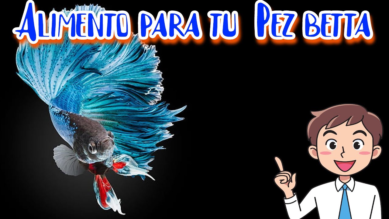 Tetra Betta Plus Pellets Alimento para Peces Betta