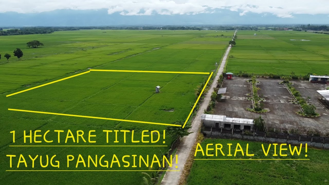NICE PROPERTY IN TAYUG AERIAL VIEW! 1HECTARE!GOOD FOR RESIDENTIAL FARMLOT!