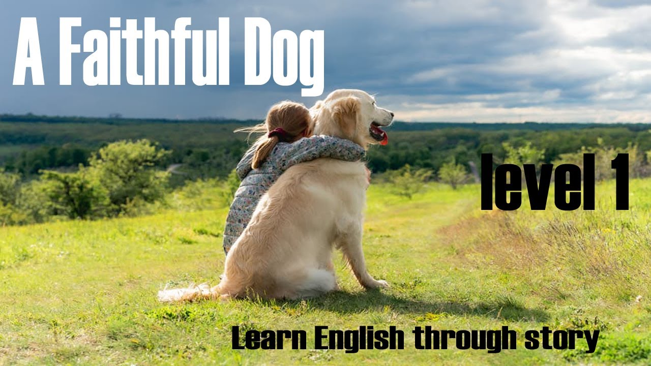 A Faithful Dog | level 1  | Learn English through story