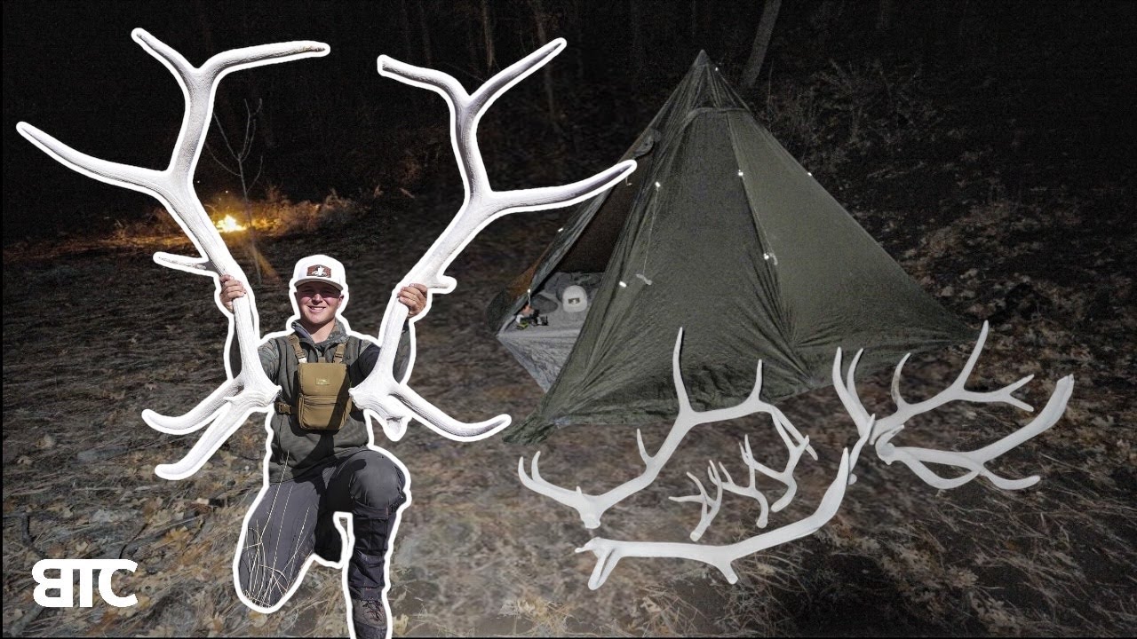 BACKCOUNTRY ELK SHEDS | SHED HUNT 2025 | BTC 4K