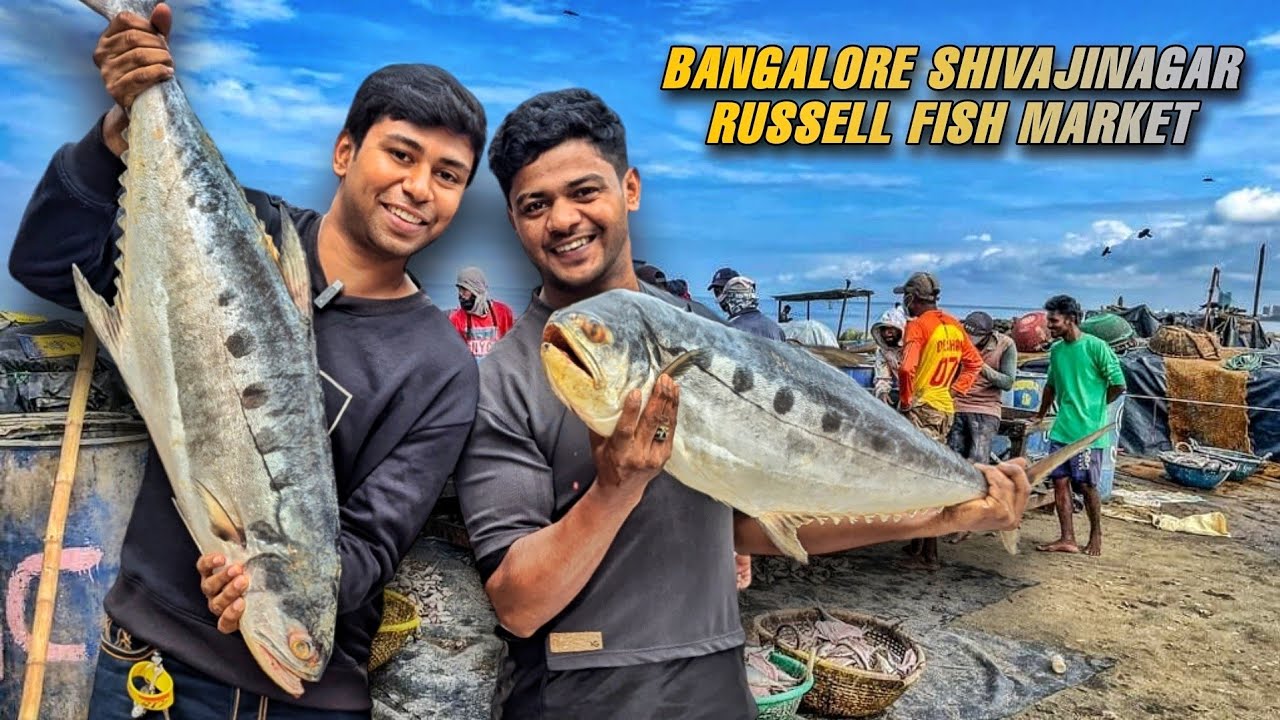 Russell Fish Market Shivajinagar | Wholesale Fish Market Bangalore Full Detail Video