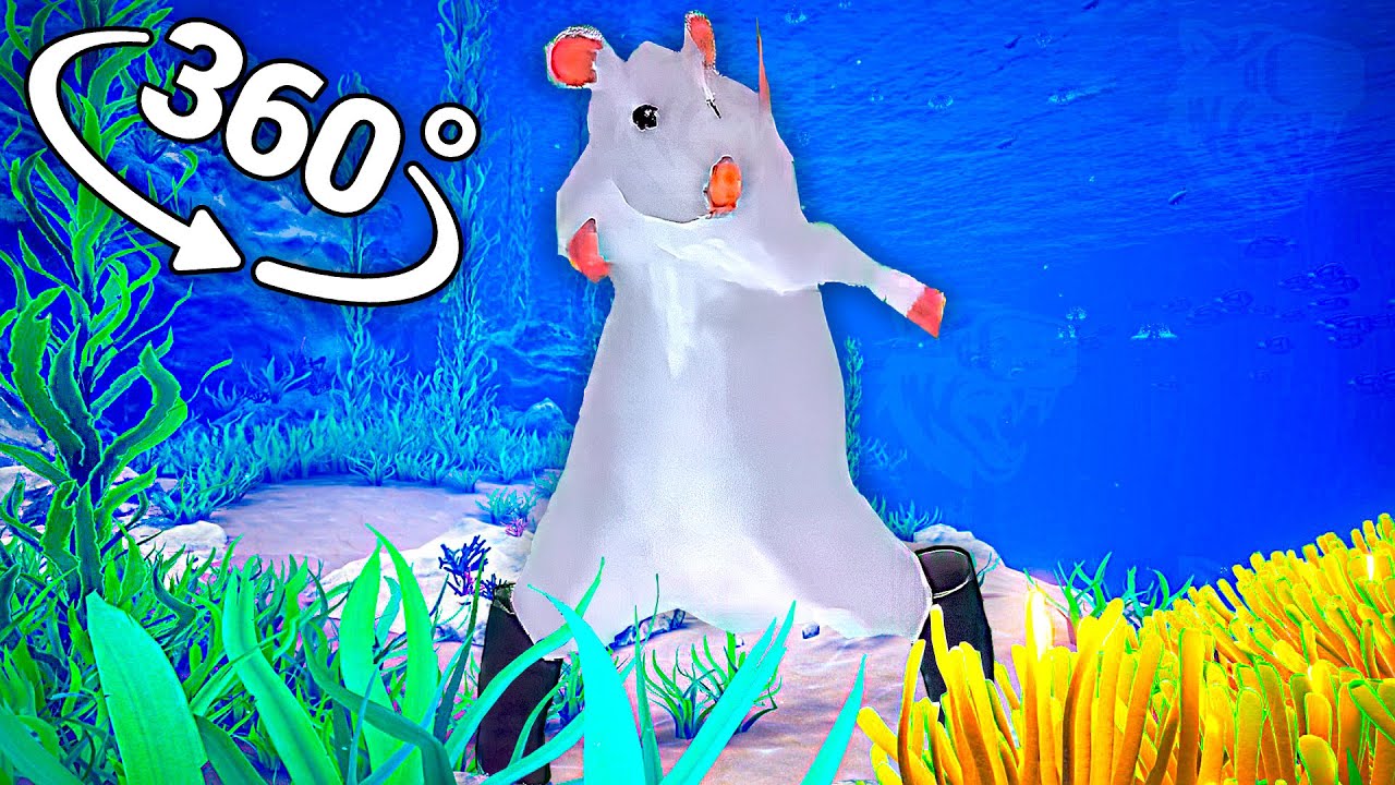 Rat dance - Oceanic in 360&deg; Video | VR / 8K | ( Rat dance meme )