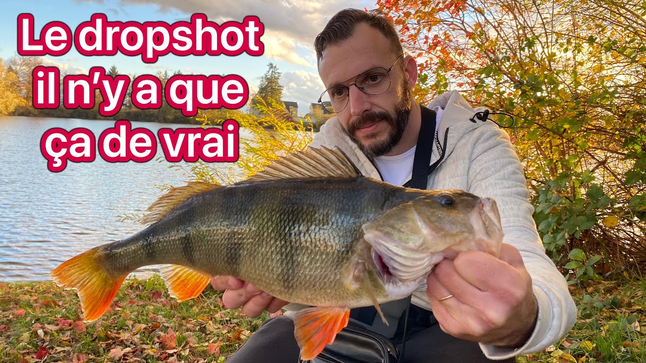 Pêche de la perche et du brochet en dropshot