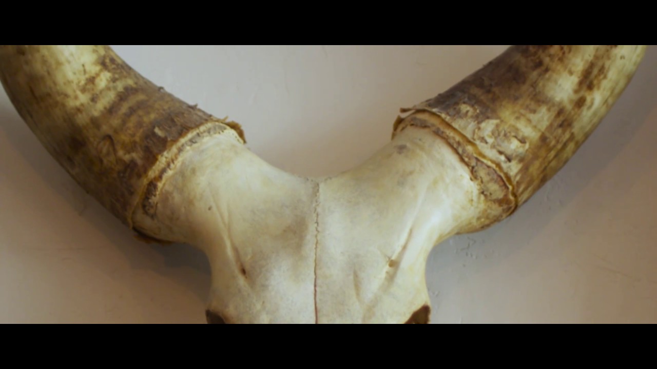 One Flew West - These Old Bones [Official Video]