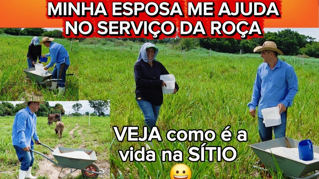 DIA DE APLICAR UREIA NO PASTO. Preço do saco de Ureia em JAÍBA-MG.