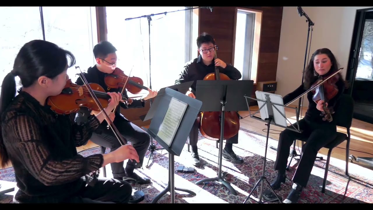 482673, Beethoven, String Quartet No. 8 Op. 59 No. 2, Mvt. III: Allegretto-Trio