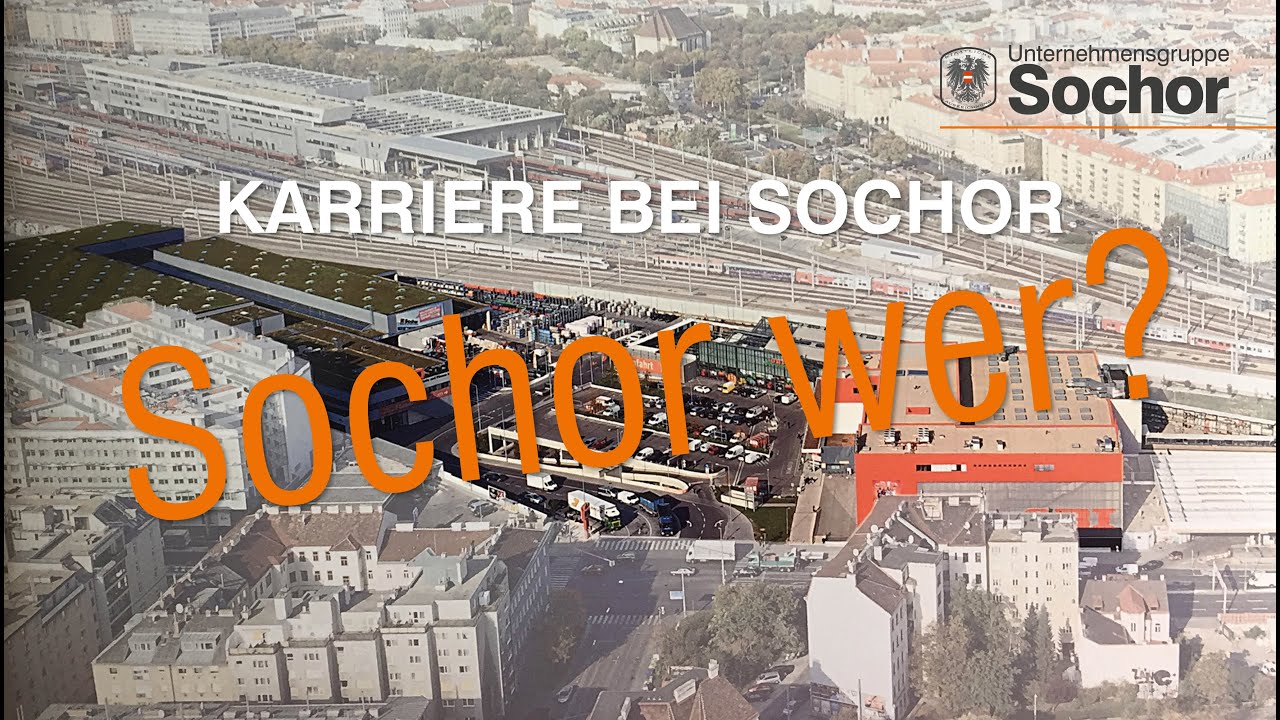Karriere bei Sochor