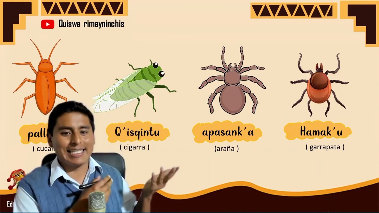 UYWAKUNAQ SUTIN - NOMBRES DE ANIMALES EN QUECHUA
