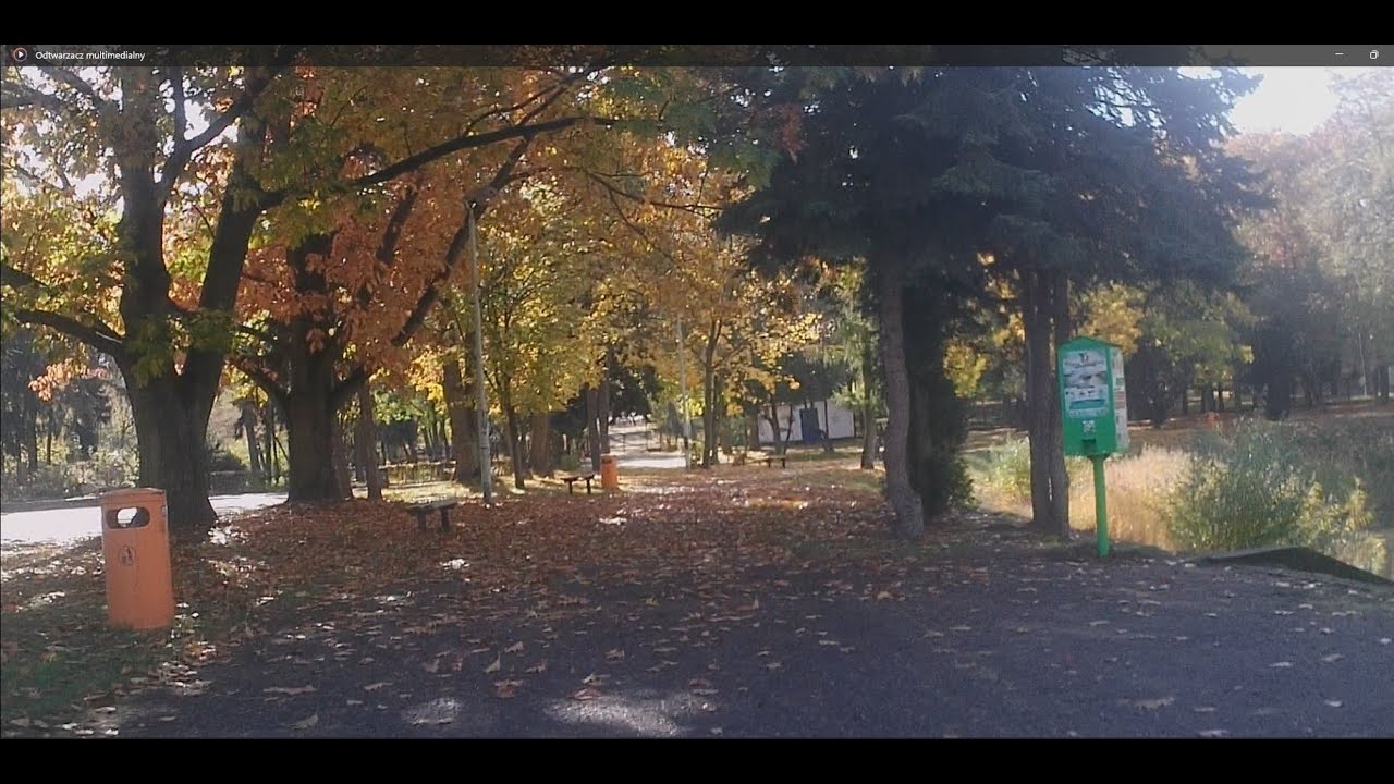 Jesień w Parku Staromiejskim 23.10.2025