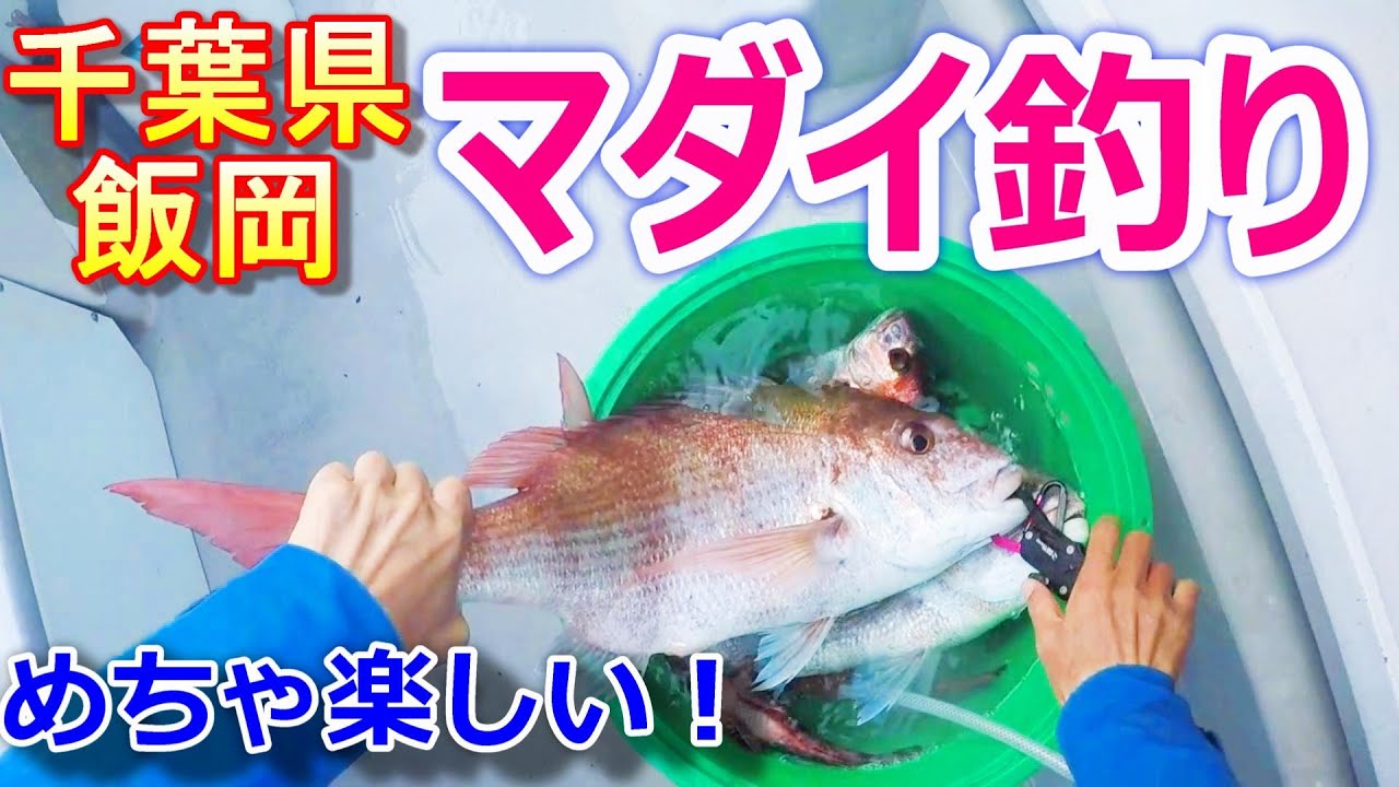 ひとつテンヤマダイ釣り初挑戦で大鯛を狙ってきました！～後編～千葉県飯岡漁港