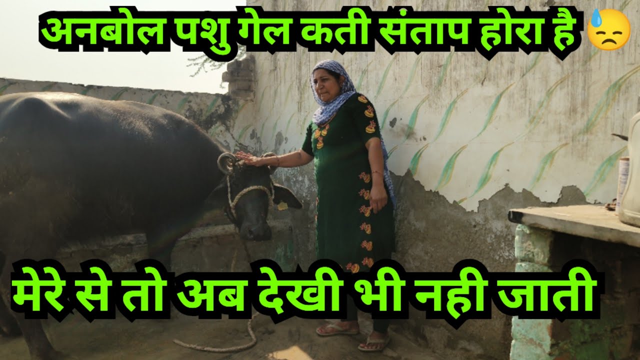 के दुध पिना है इस ते अच्छा बिना दुध रहला वो बढ़िया है 
