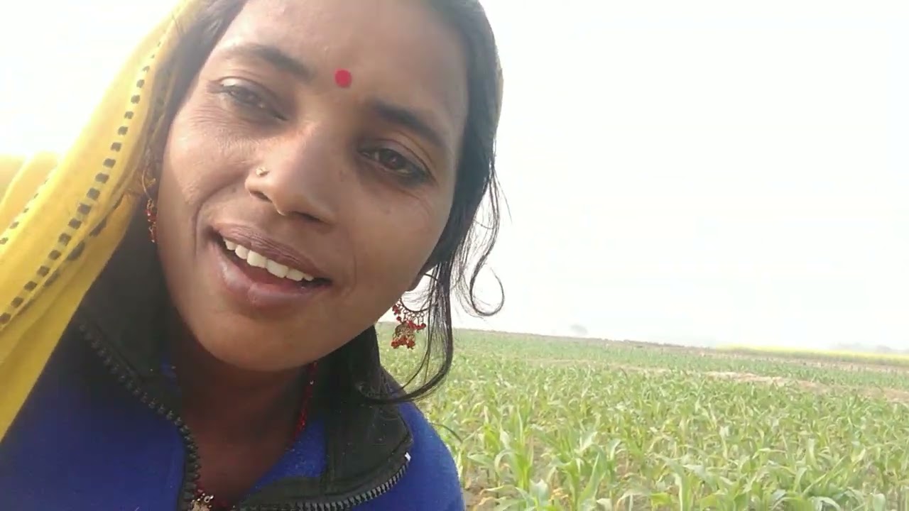Yah hamara khet ka video hai aap log dekh Kar like comment jarur kariyega 🙏