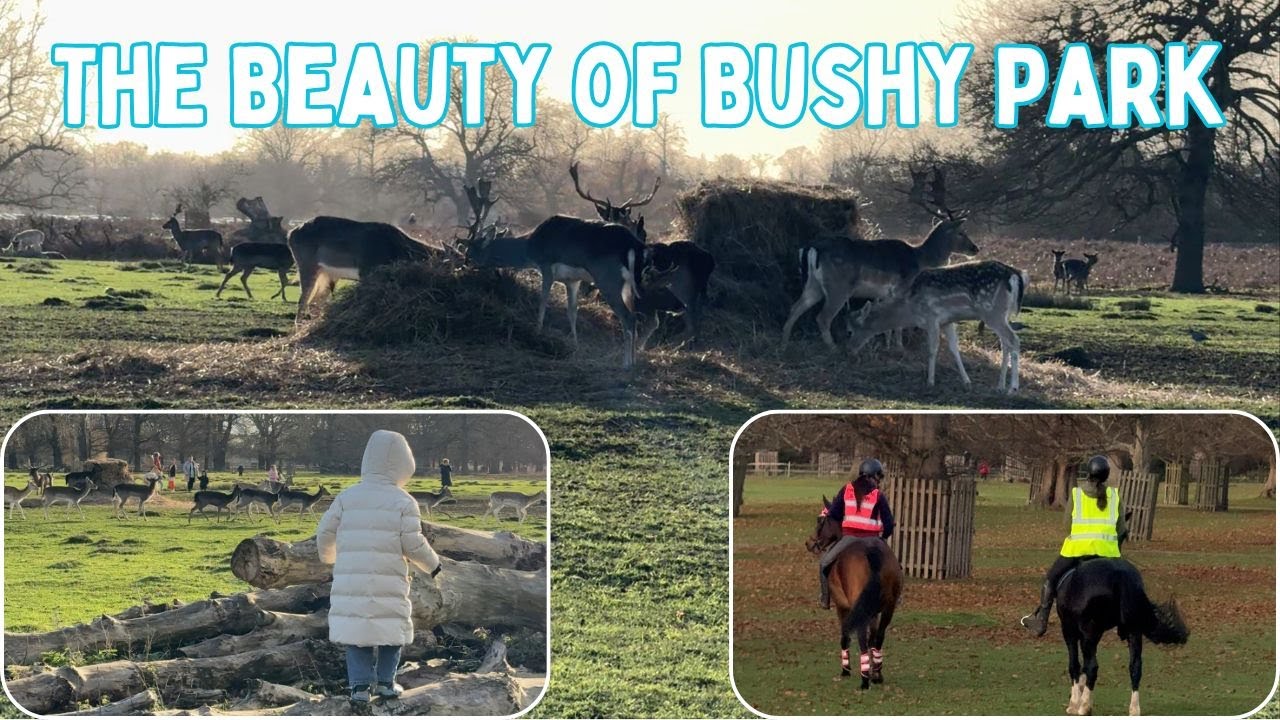 The Beauty of Bushy Park: Deers & Horses | Family Vlog