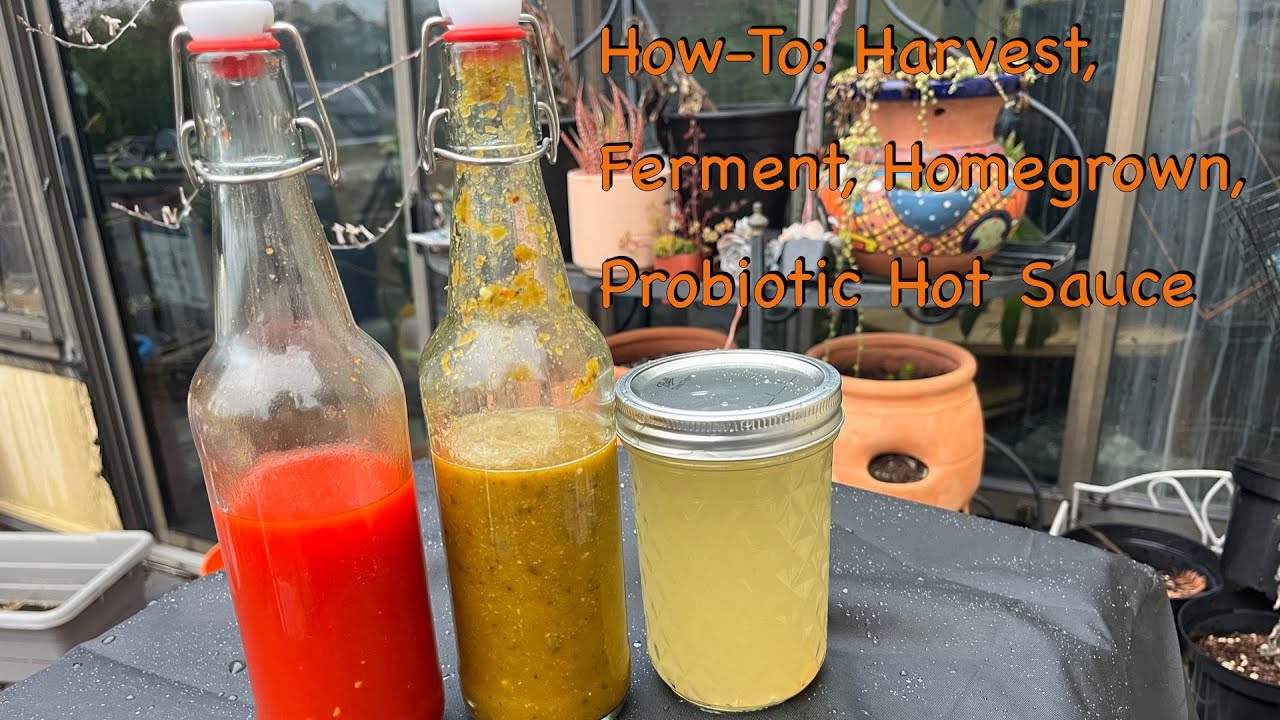 How-To: Lacto-fermented Hot sauce - Home Grown