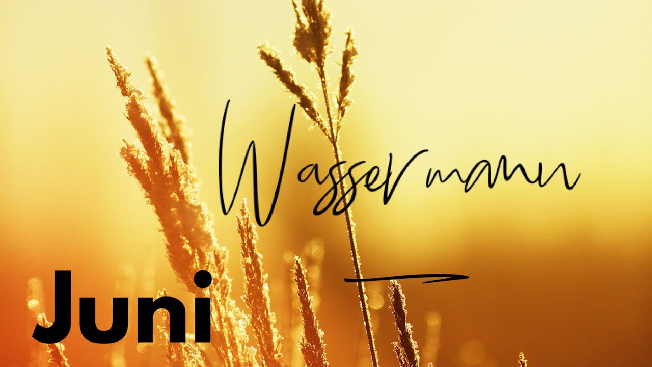 Wassermann ♒️ Wandlung & Neuordnung. Ziehe dich zurück und mache einen klugen Plan für deinen Erfolg