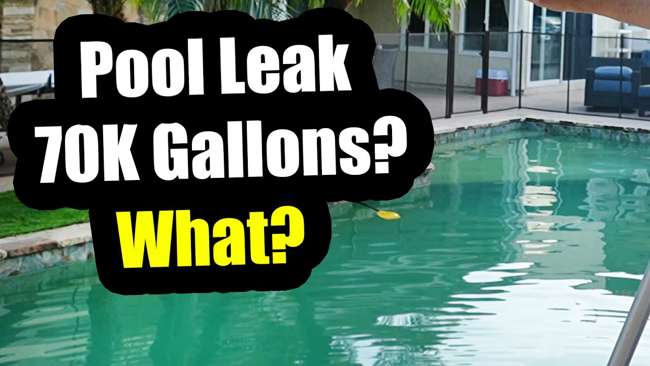 Massive Green Pool Cleanup + $2,100 Water Bill from LADWP