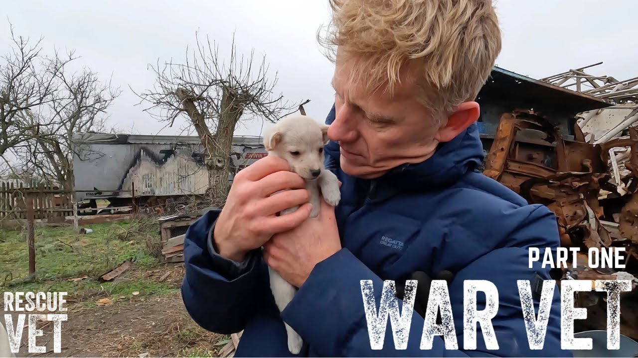 Vet travels to Ukraine war zone to help save innocent animals | War Vet: Part One