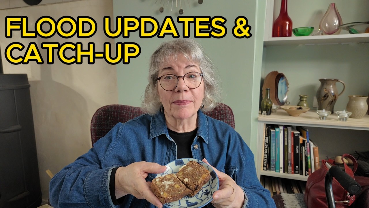 🇫🇷  FLOOD UPDATES & Quickish Catch-up | Daily Life | Retirement Life in France | Ep 146