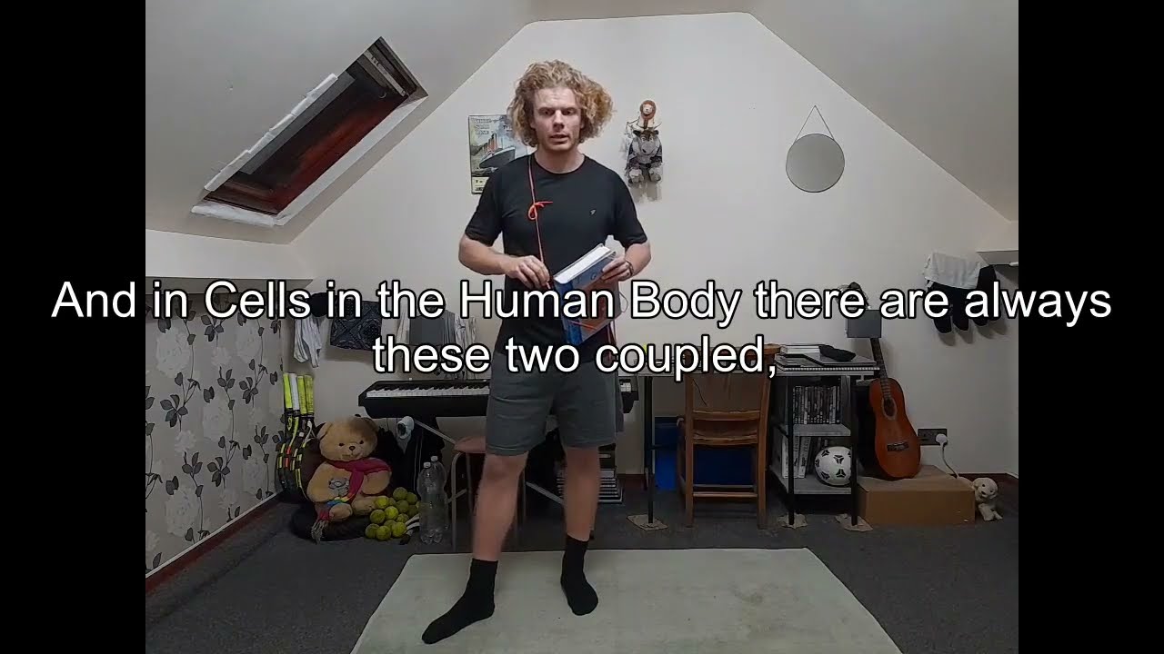 Biochemistry Part 41, Oxidation Reduction Reactions, and Neckstretching, Reg. DLYKAURF