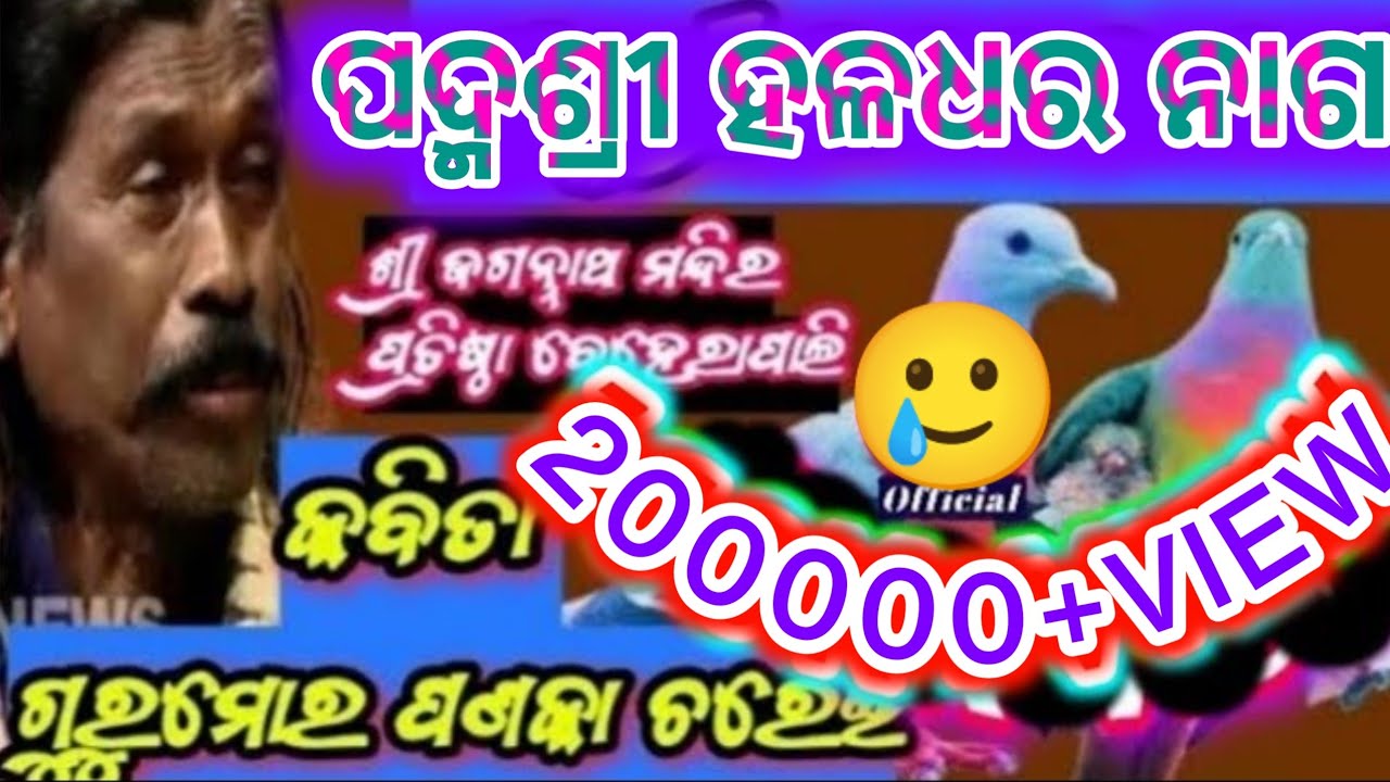 200K+ହଳଧର ନାଗ କବିତା ଗୁରୁମୋର ପଣକା ଚରେ Kabita Hldhar Nag ବେହେରାପାଲି ମନ୍ଦିର ବିବାହ 