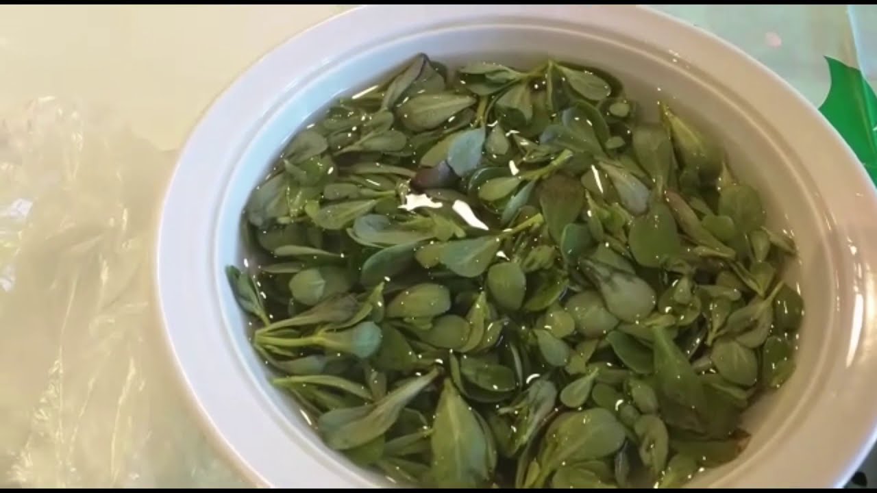 Kulfa Ki Bhaji Dal Hyderabadi Recipe | Purslane Indian Curry | Duck weed curry |  Purslane curry