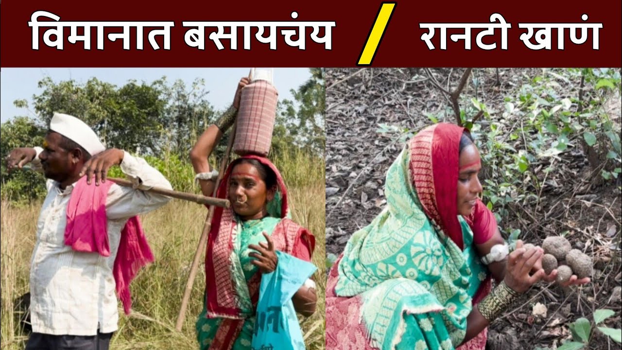 बाणाईला विमानात बसवायचंय 🥰| रानटी खाणं | banai | sidu hake | dhangari jivan