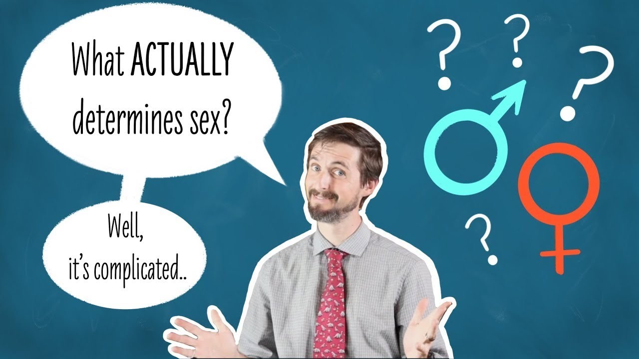 XY ZW XO ZO Haploidiploidy TDSD and a bunch of other ways to make males and females!
