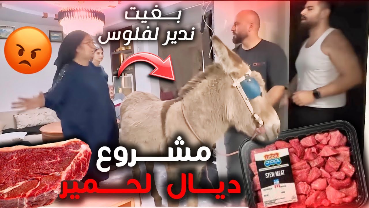 دخلت حمار على الواليدة😱ماتصوروش شنو دارولي بالعصى😱😂