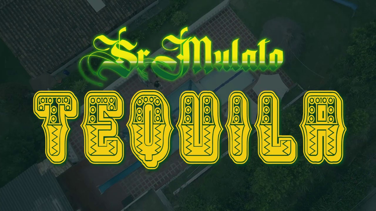 Sr Mulato - Tequila 🍹🍾 - Vídeo Oficial (Get Down)