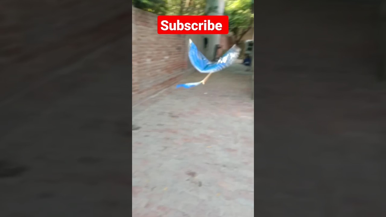 Rubber band bird, crank the bird #shorts