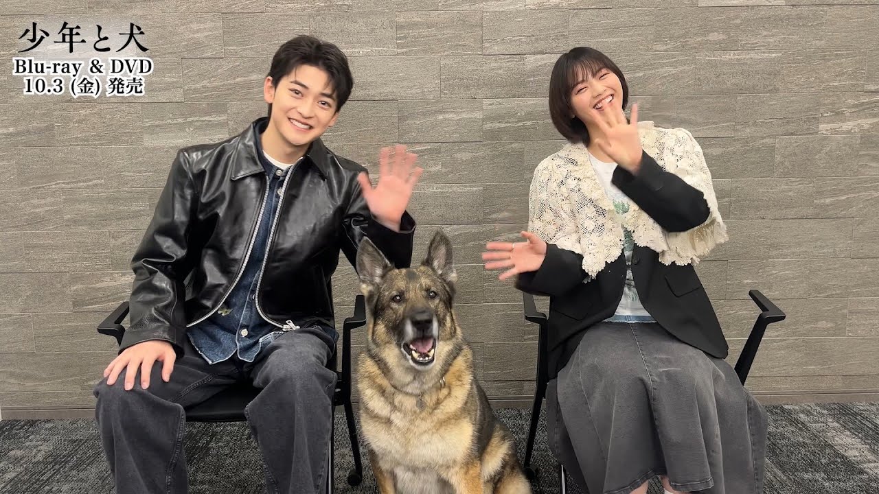 高橋文哉・西野七瀬のコメント動画が到着！【映画『少年と犬』Blu-ray＆DVD 10月3日（金）発売】