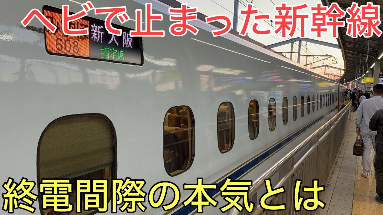 ヘビが絡まって停電してしまった新幹線の終電を絶対遅らせないための工夫が凄すぎた
