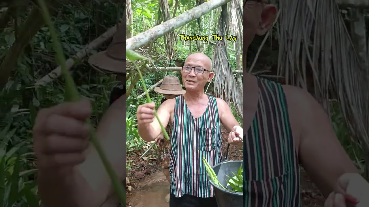 ရာဘာခြံထဲကသဘာ၀အသီးအရွက် အစုံလိုက်ခူးကြမယ်နော် 🤗🤗