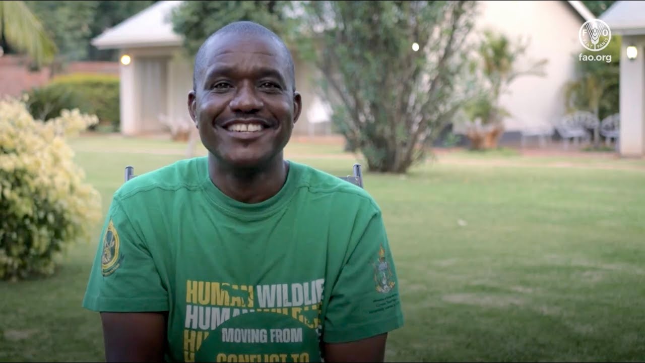From Honeycombs to Green Jobs: Empowering Zimbabwe's Rural Youth through Beekeeping