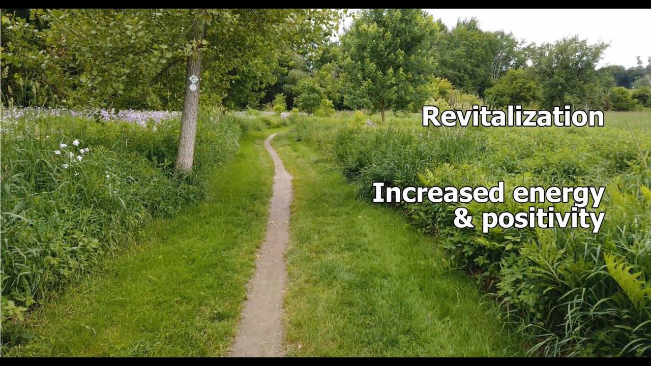 Take It Outside: Why Exercising In Nature Is So Good For Us