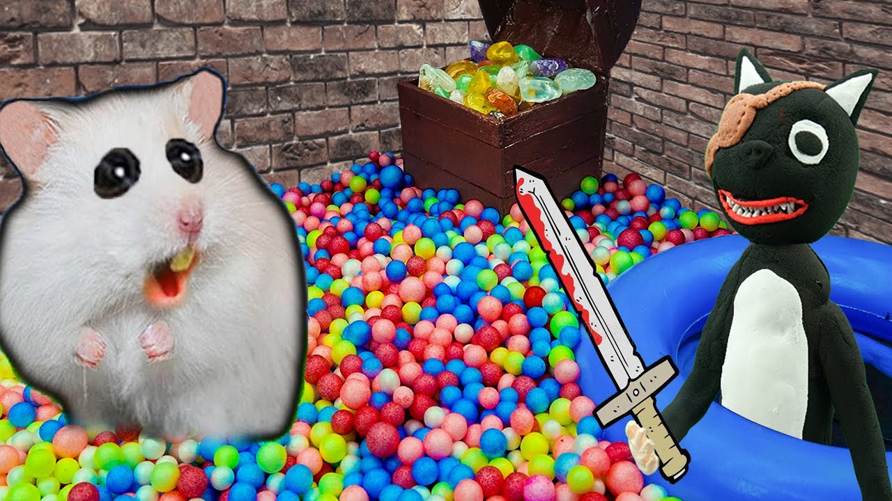 Hamster vs CARTOON CAT Pirate Treasure Hunt 🐹AWESOME HAMSTER MAZE with TRAPS 😱[Obstacle Course]😱