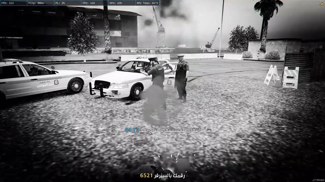 تخريب رائد للحراسة | مقاطعة بلاين