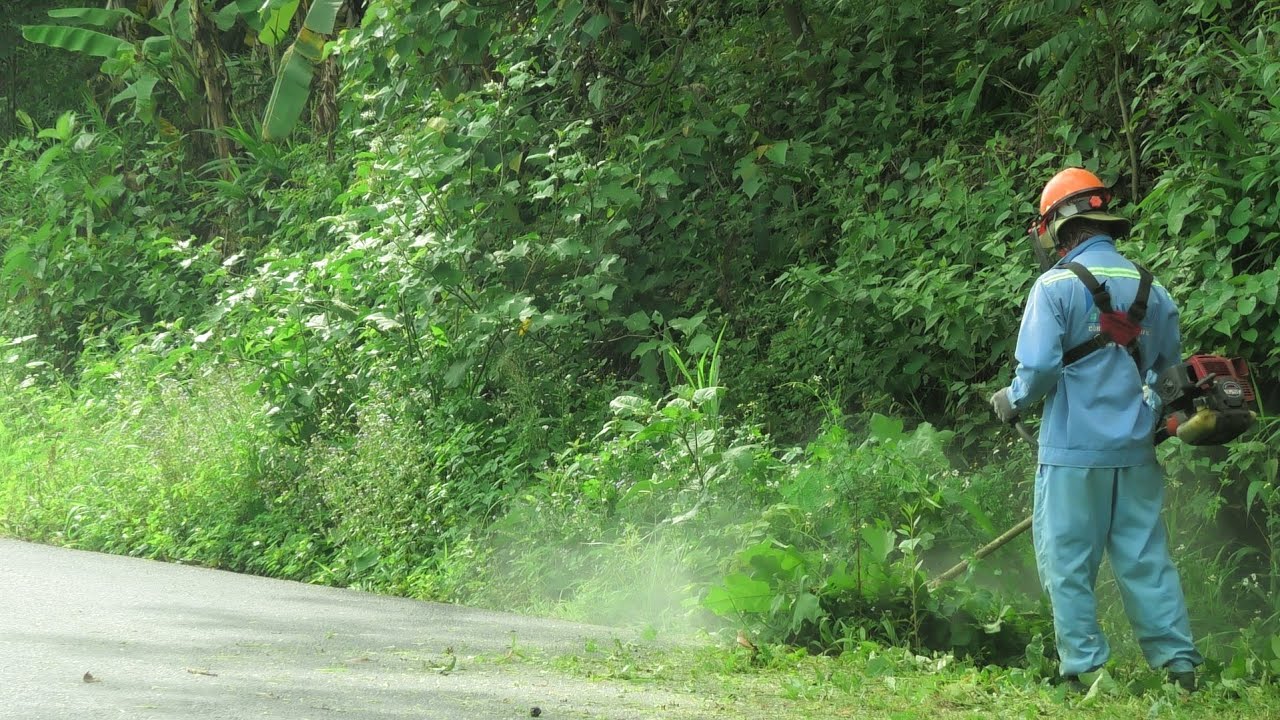 Unexpected Change - The Two Brothers' Journey to Clean up the Grass ,Cleaning & Mowing / Clean up