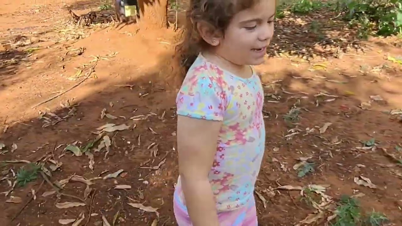 Lugar onde passei minha infância, lugar lindo .#roça #fazenda em minas# natureza