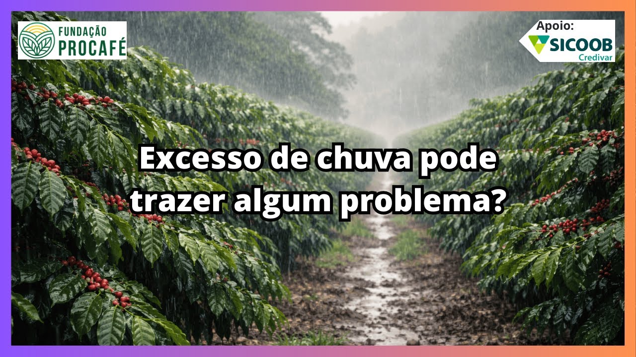 Podcast #207 - Excesso de chuva pode trazer algum problema?