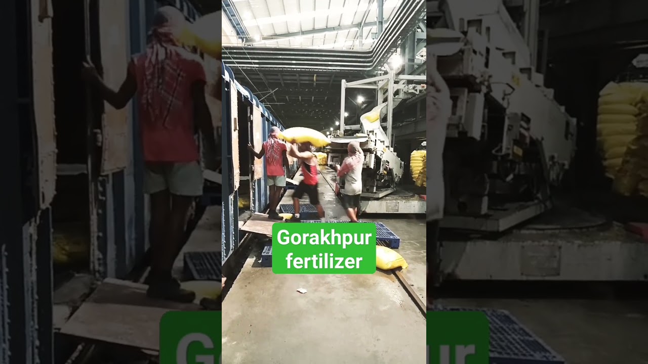 Gorakhpur Fertilizer short video