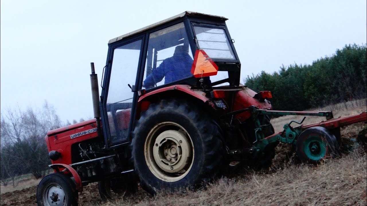Ciężka Jesień 2021😏 Orka ugoru.. 2xUrsus Ryk Silnika C355, C360