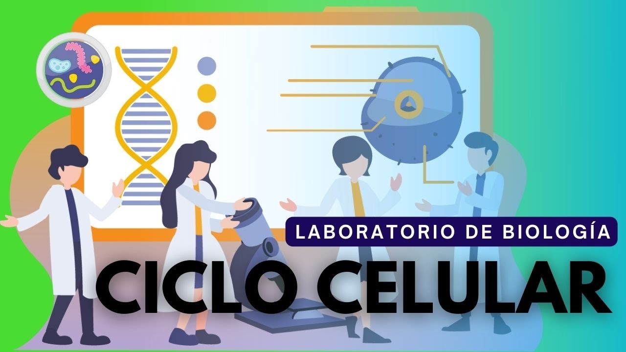 Laboratorio de Biología: Ciclo celular