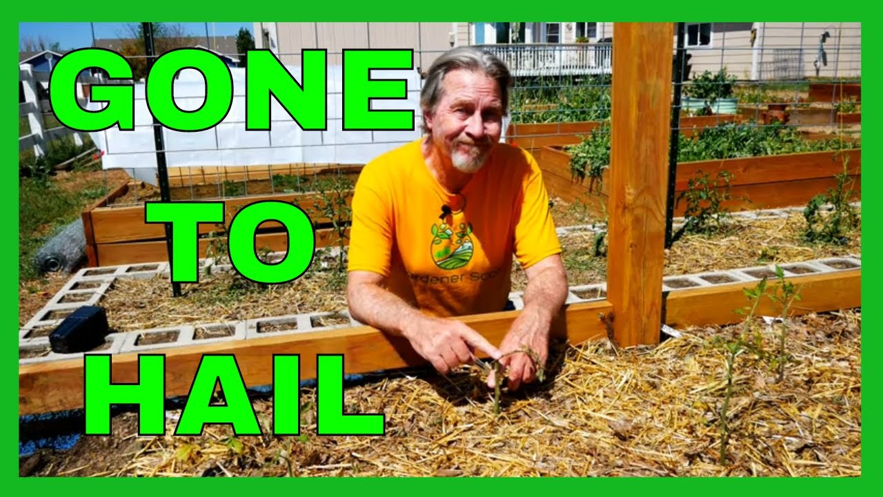 Bad Weather in the Garden (Battling Mother Nature)